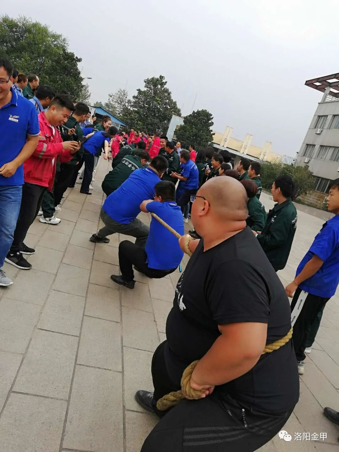 1601461059415951.png 1601461059415951.png